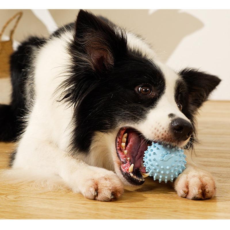 MoovaLab® Plush Carrot Chew Dog Toy - KIKOPALS