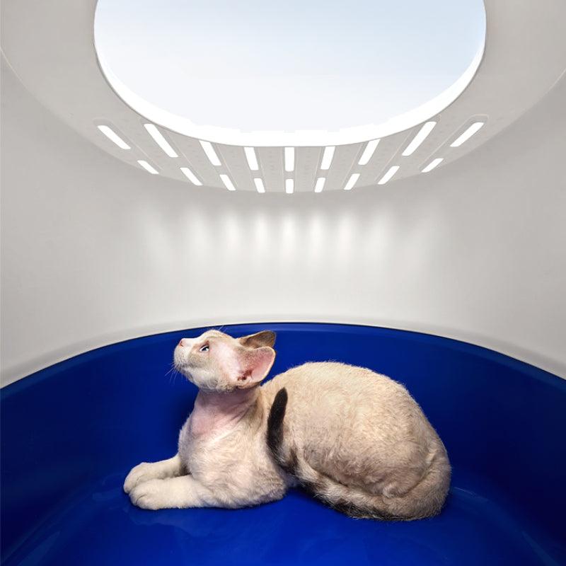 KITTY YOYO® Cat Litter Box - KIKOPALS