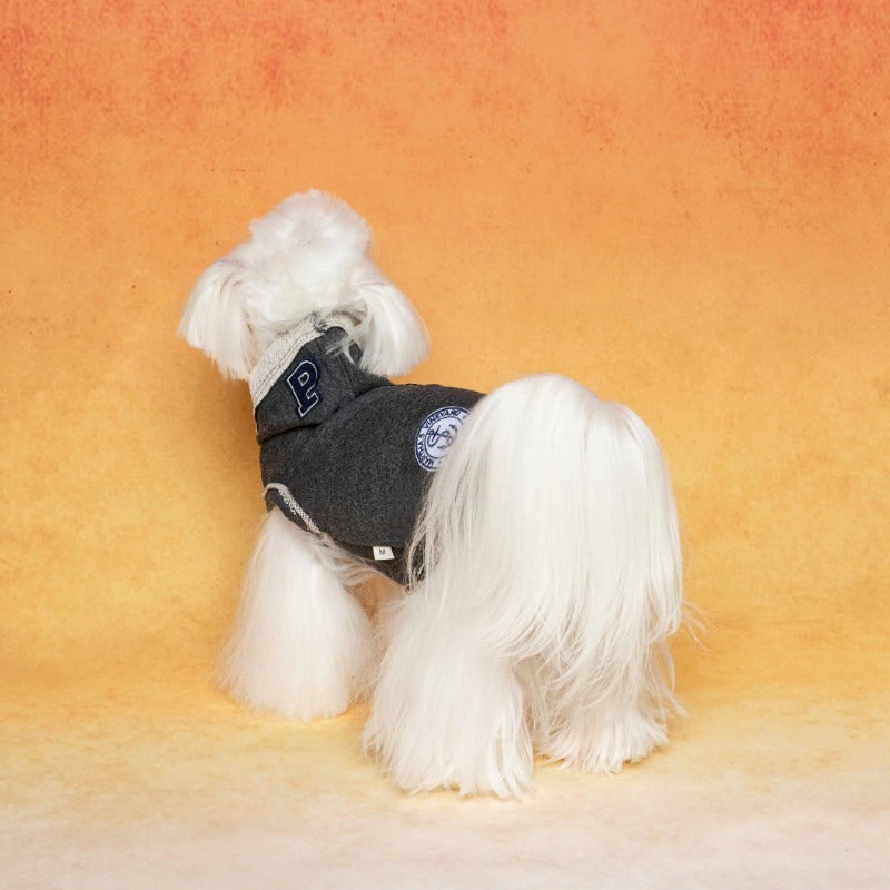 PalettePet® Cloud Pattern Hoodie for Dogs