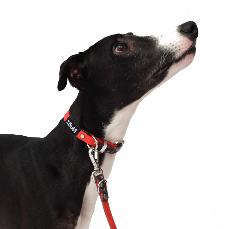Nuoz® U Series PVC Dog Collar