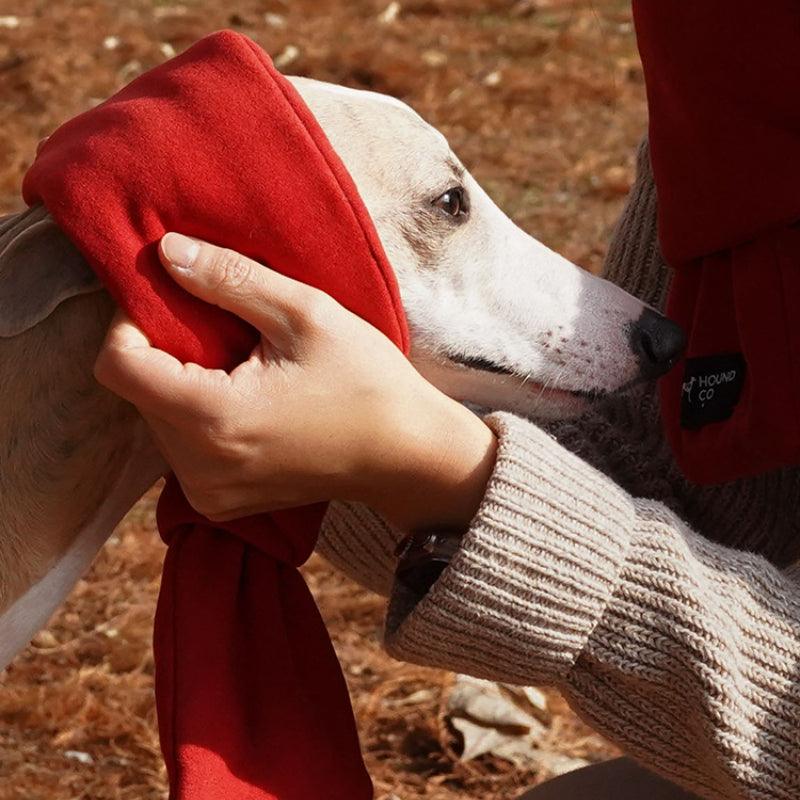 Hound Co. ® Bright Red Pet Scarf - KIKOPALS