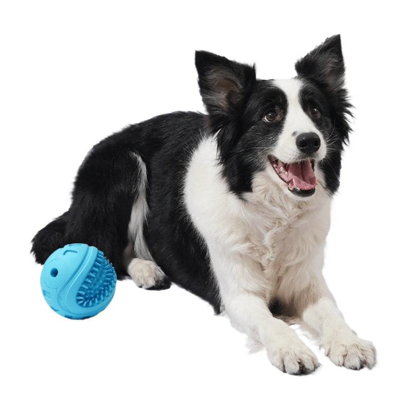 MoovaLab® Squeaky Monster Ball Dog Toy - KIKOPALS