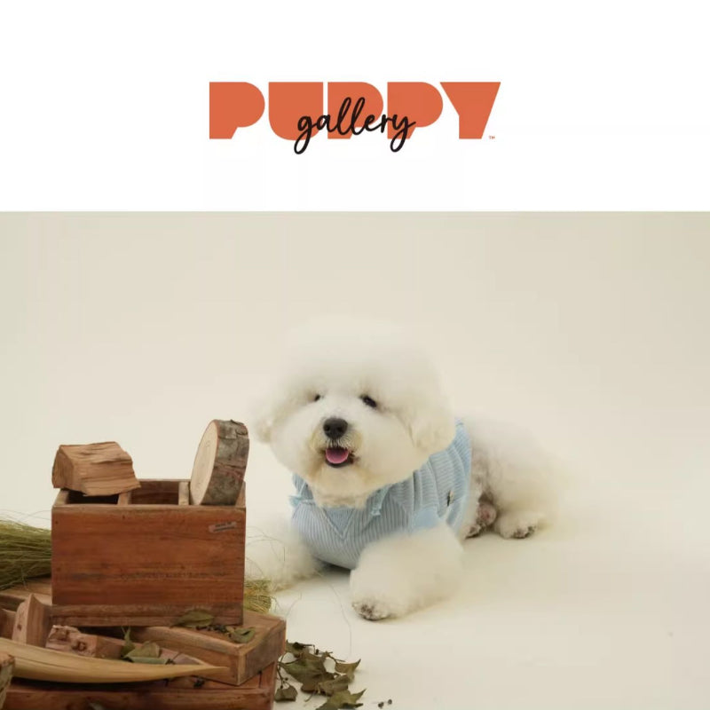 PuppyGallery® Painter Sleeveless Hoodie for Dogs