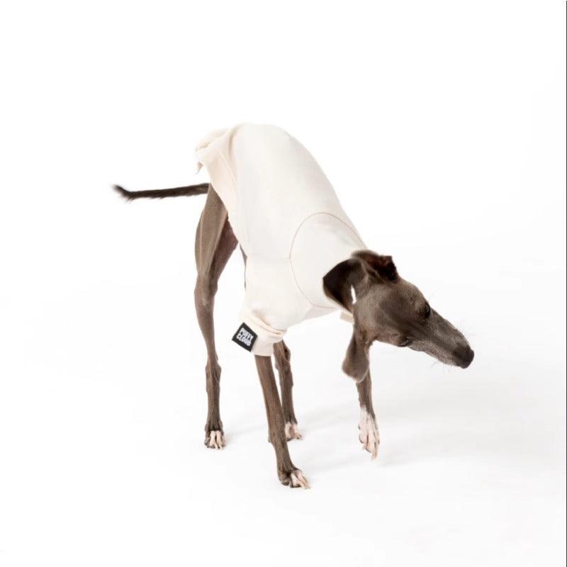 PUFFYCLOUD® Sportswear Casual Suit for Dog - KIKOPALS