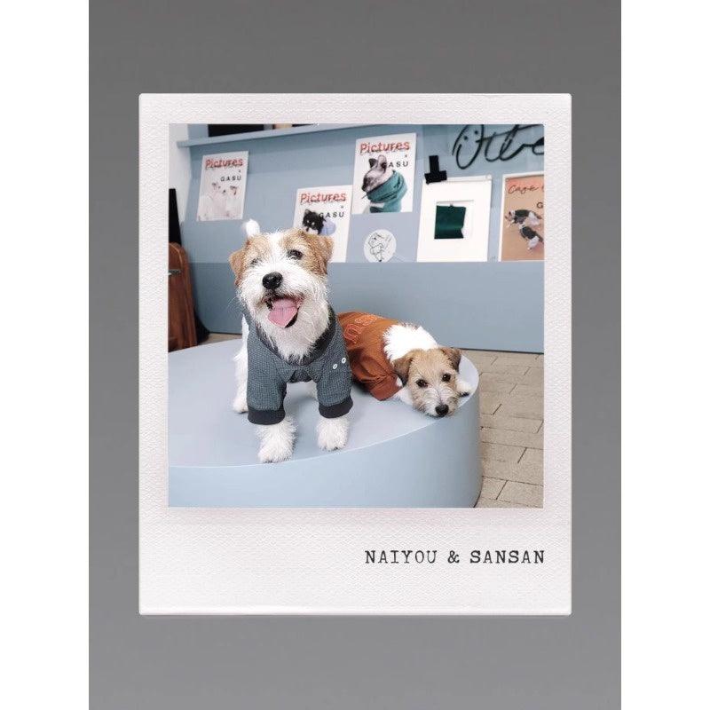 GASU® Embroidered Vintage Lightweight Pet Sweater - KIKOPALS