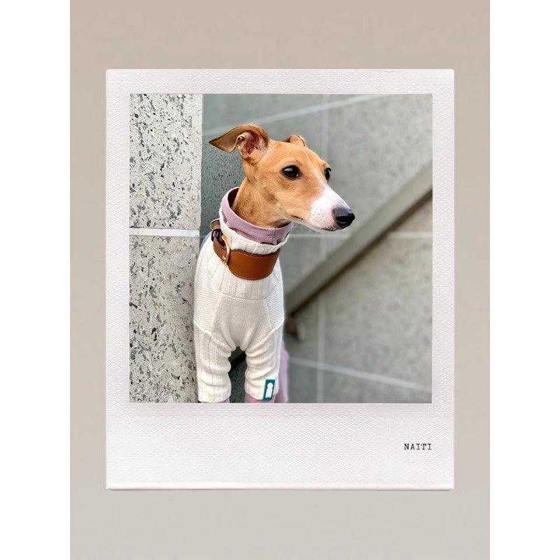 GASU® Soft Italian Leather Pet Collar - KIKOPALS