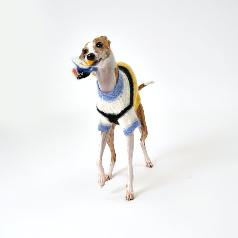 Nuoz® Gradient Color Block Sleeveless Knit Vest for Dogs