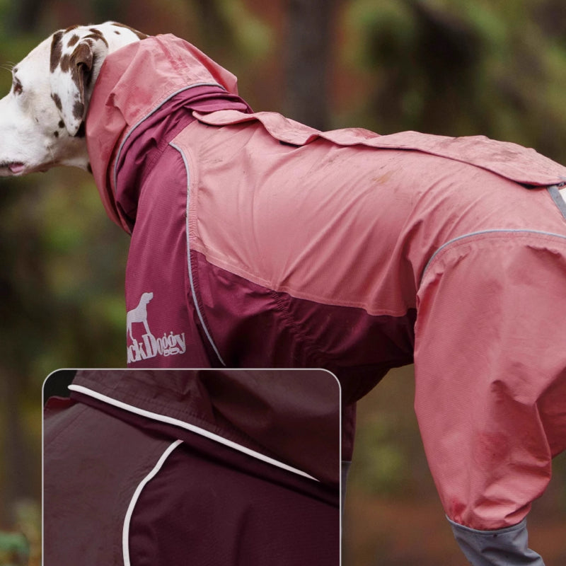 BlackDoggy® Waterproof Raincoats for Dogs & Adults