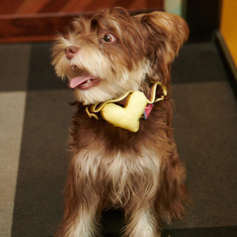 iiNeed® Heart-Shaped Pet Bibs & Scarves