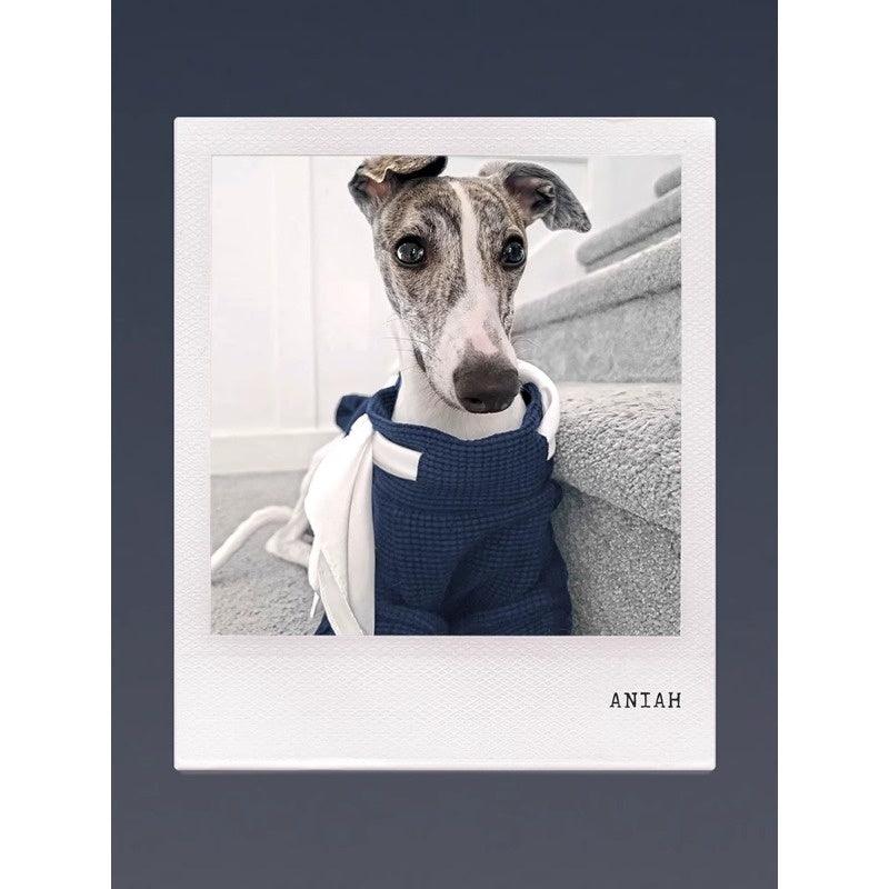 GASU® Versatile Cotton Pet Sweater - KIKOPALS
