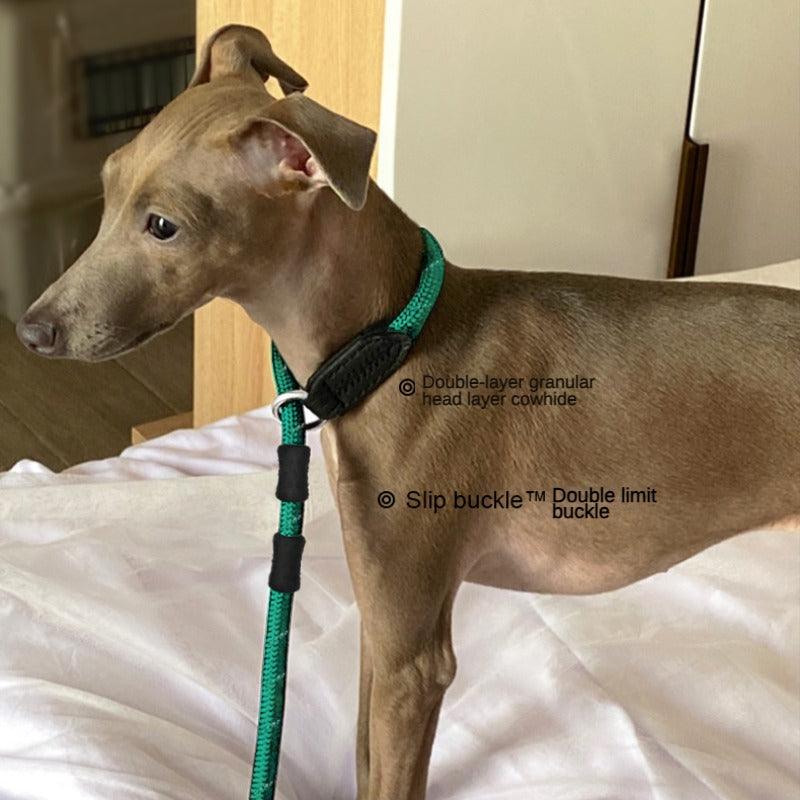 BeauGo® Training Dog Leash - KIKOPALS