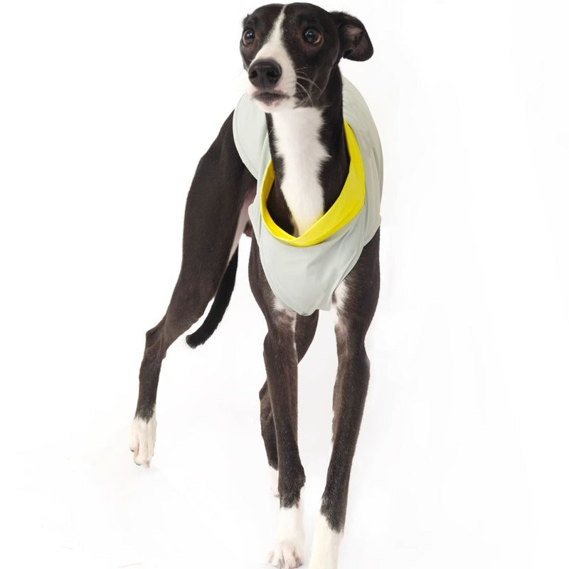 Nuoz® Pet Cooling Base Layer with Color Block Design for Dogs