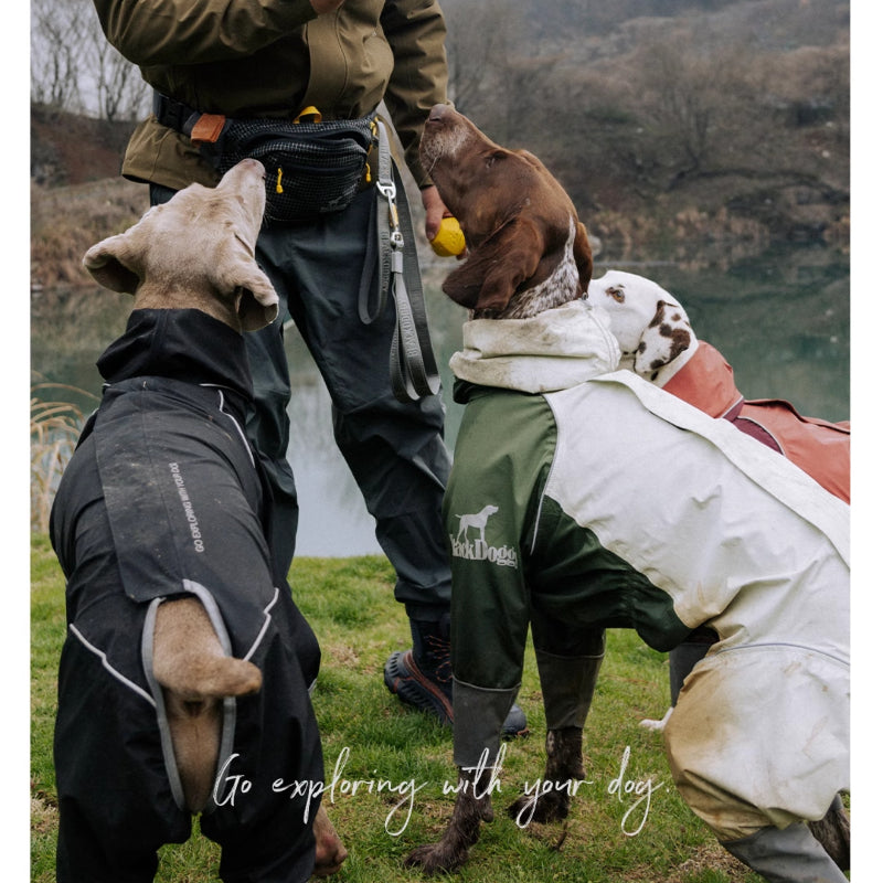 BlackDoggy® Waterproof Raincoats for Dogs & Adults
