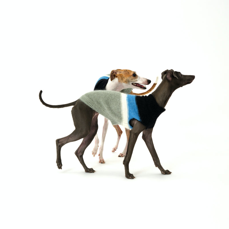 Nuoz® Gradient Color Sleeveless Knit Vest for Dogs – Mohair Wool Blend