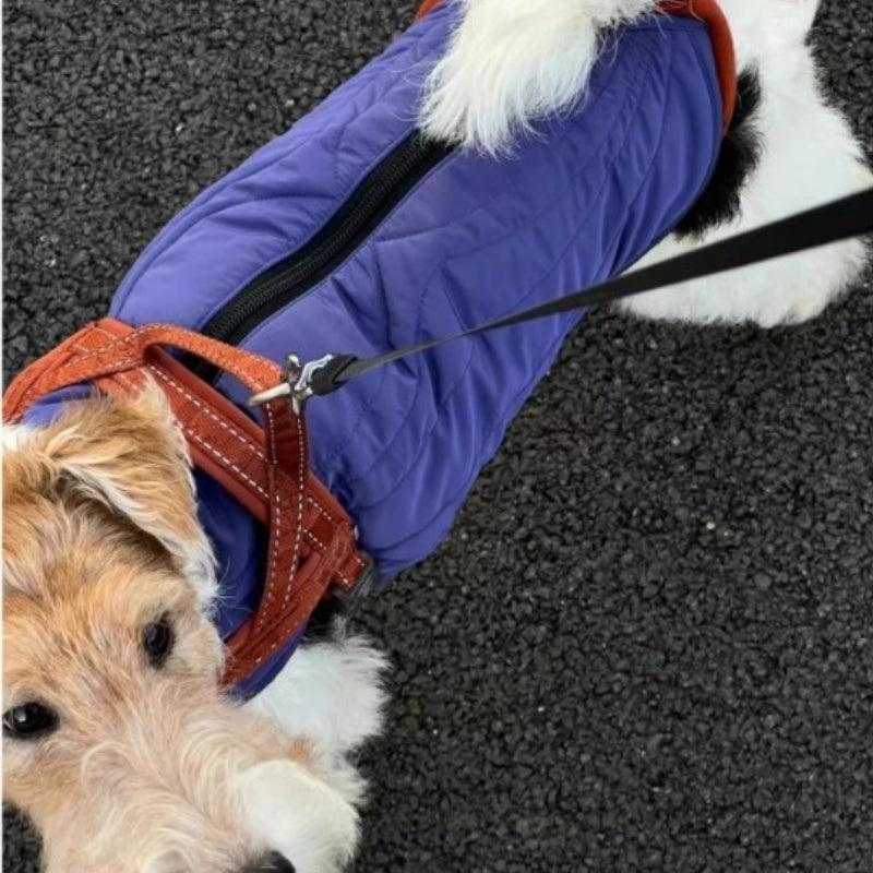 BBPRODUCTION® Galaxy Dog Winter Coat - KIKOPALS