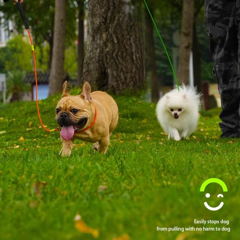 BeauGo® P-Shaped Pet Leash - KIKOPALS