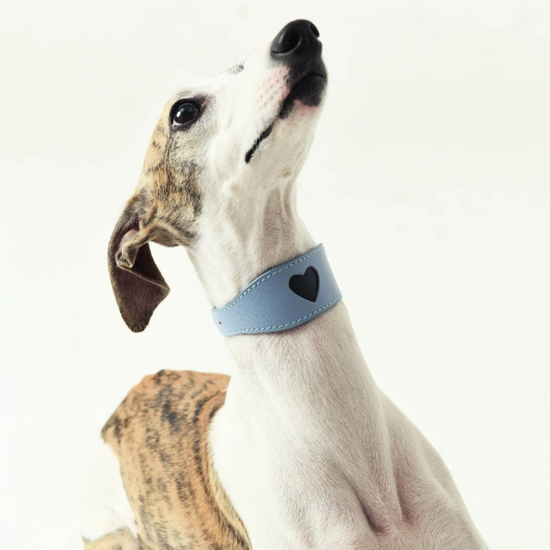 iiNeed® Leather Heart Collar for Whippets Dog