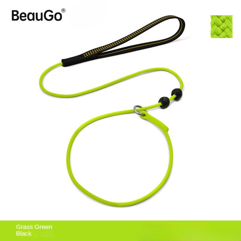 BeauGo® Training Dog Leash - KIKOPALS