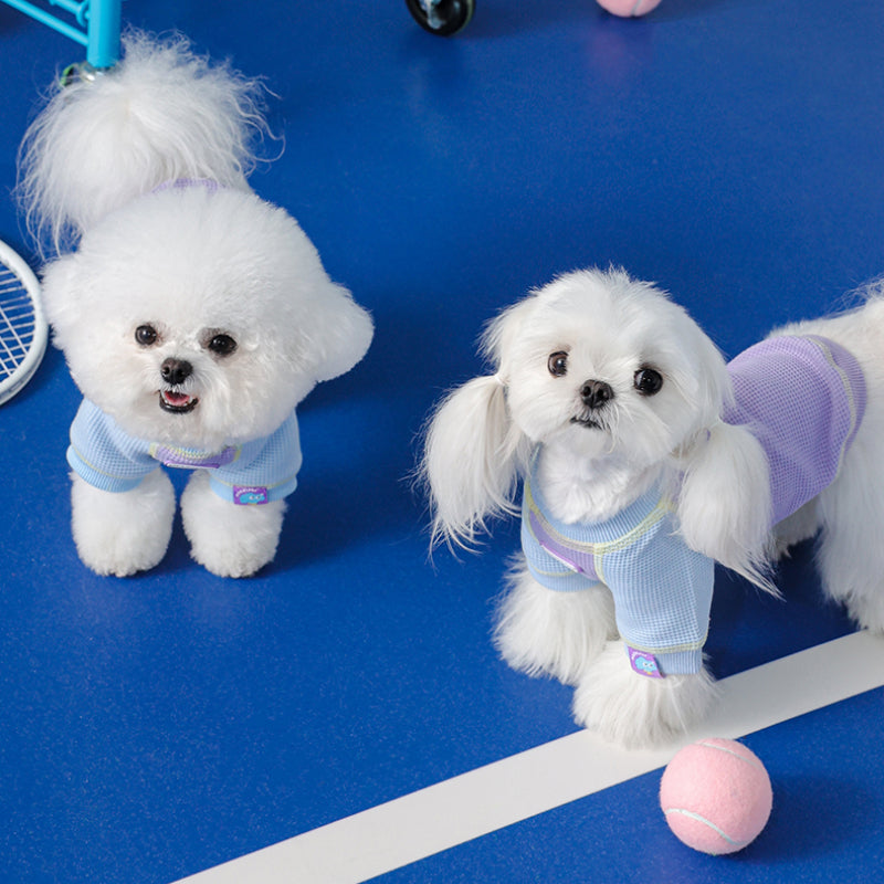 MookiPet® Cute Cloud Shirt for Dogs – Blue Purple