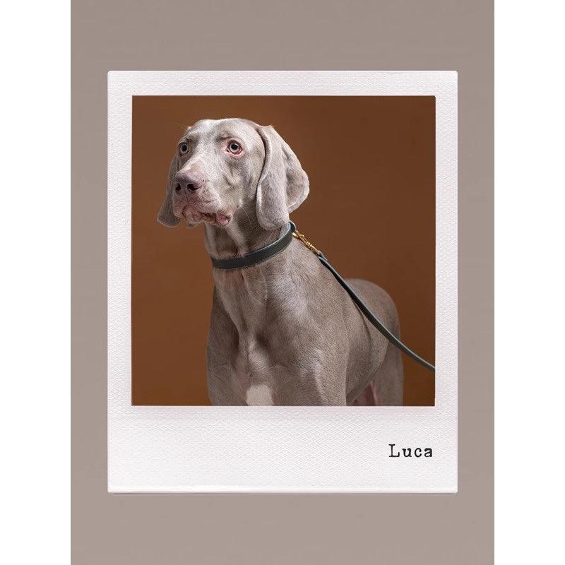 GASU® Soft Italian Leather Dog Leash - KIKOPALS