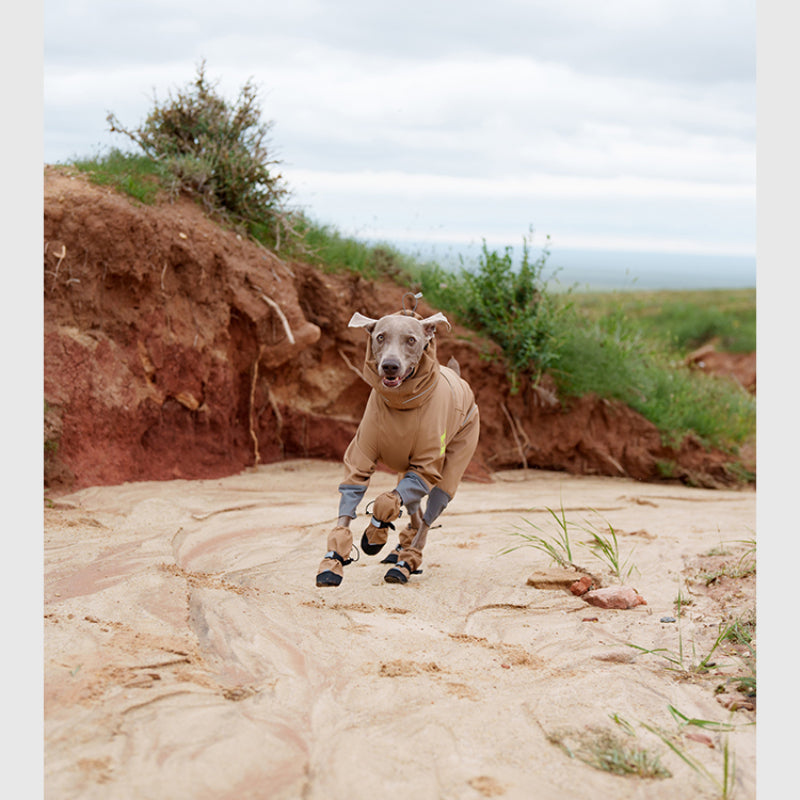 BlackDoggy® SCAPPO Outdoor Dog Boots – Durable & Waterproof