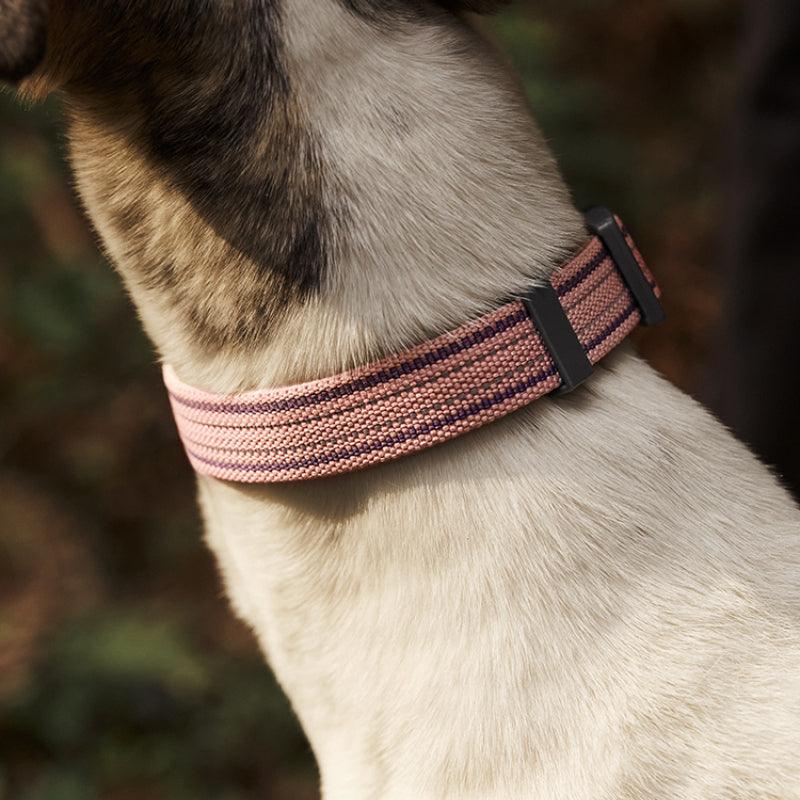 KITTY YOYO® Dog Collar - KIKOPALS