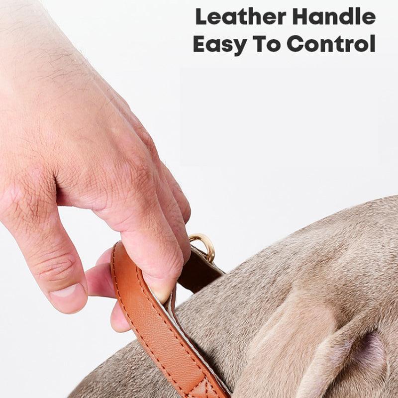 Minly® Leather Dog Collar & Leash Set - KIKOPALS