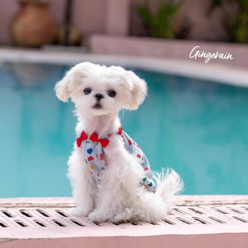 GINGERAIN® Blue Bow Pet Vest - KIKOPALS