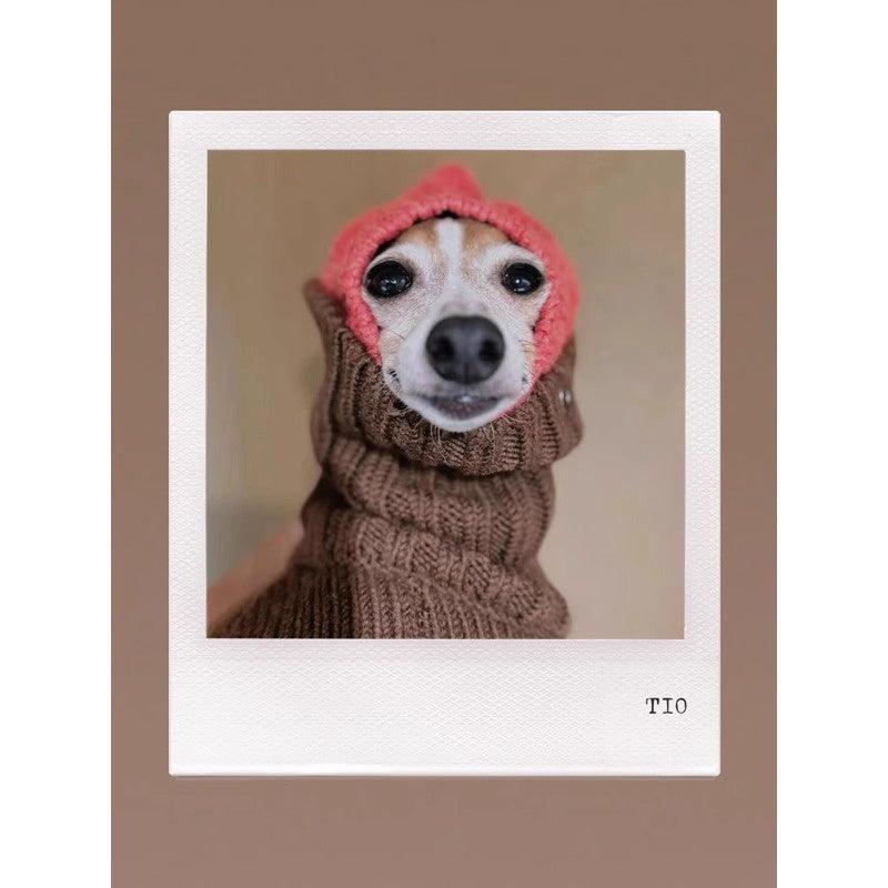 GASU® Chunky Wool Dog Two-Legged Sweater - KIKOPALS