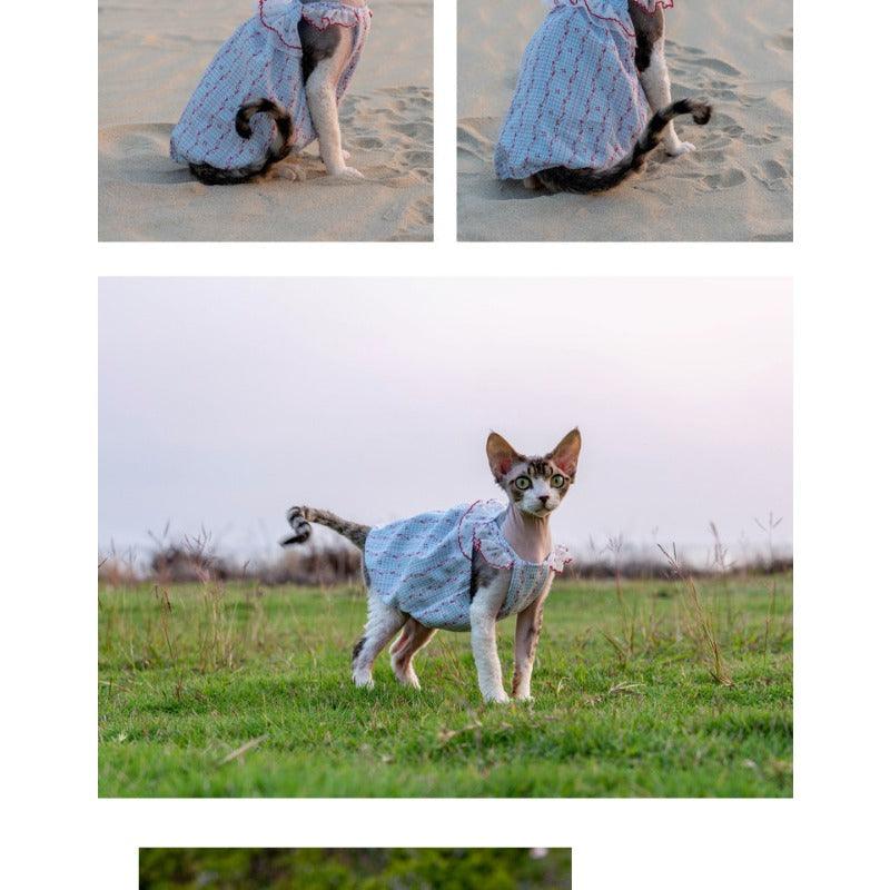 GINGERAIN® Cotton Lace Cat Dress - KIKOPALS