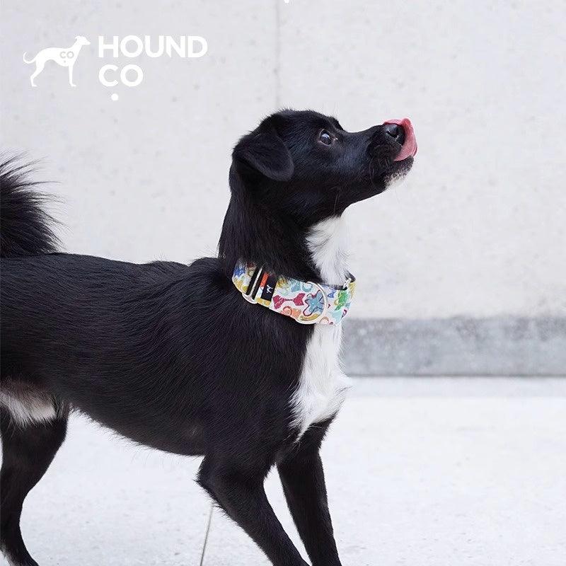 Hound Co.® Colorful Pet Collar - KIKOPALS