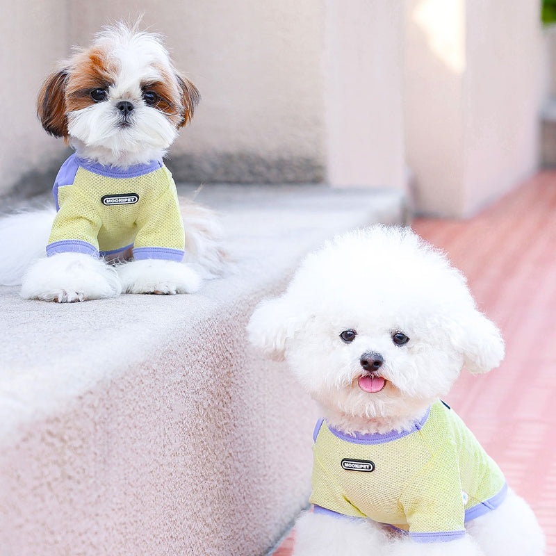MookiPet® Breathable Mesh T-Shirt for Dogs – Yellow, Quick-Dry, and Practical