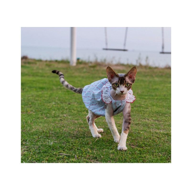 GINGERAIN® Cotton Lace Cat Dress - KIKOPALS