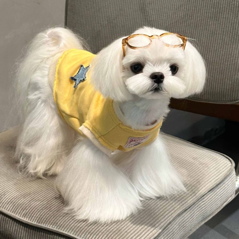 PalettePet® Star Pocket Sweater for Dogs – Yellow