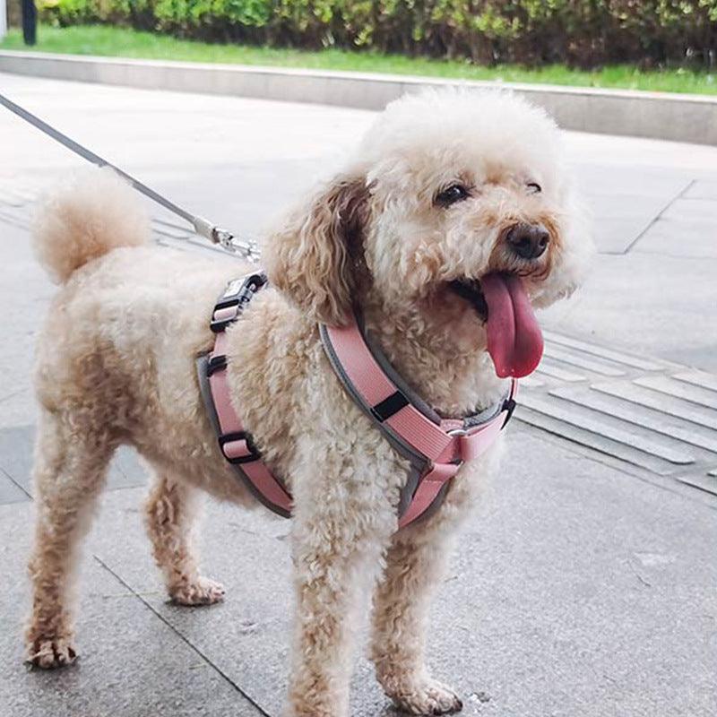 KIKOPALS® Adjustable No-Pull Y-Shape Dog Harness - KIKOPALS