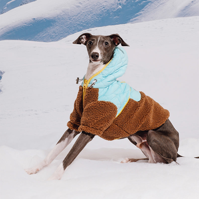 ZEZE® Windproof Pet Jacket for Small Dogs