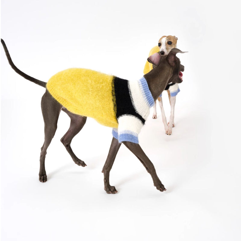 Nuoz® Gradient Color Block Sleeveless Knit Vest for Dogs