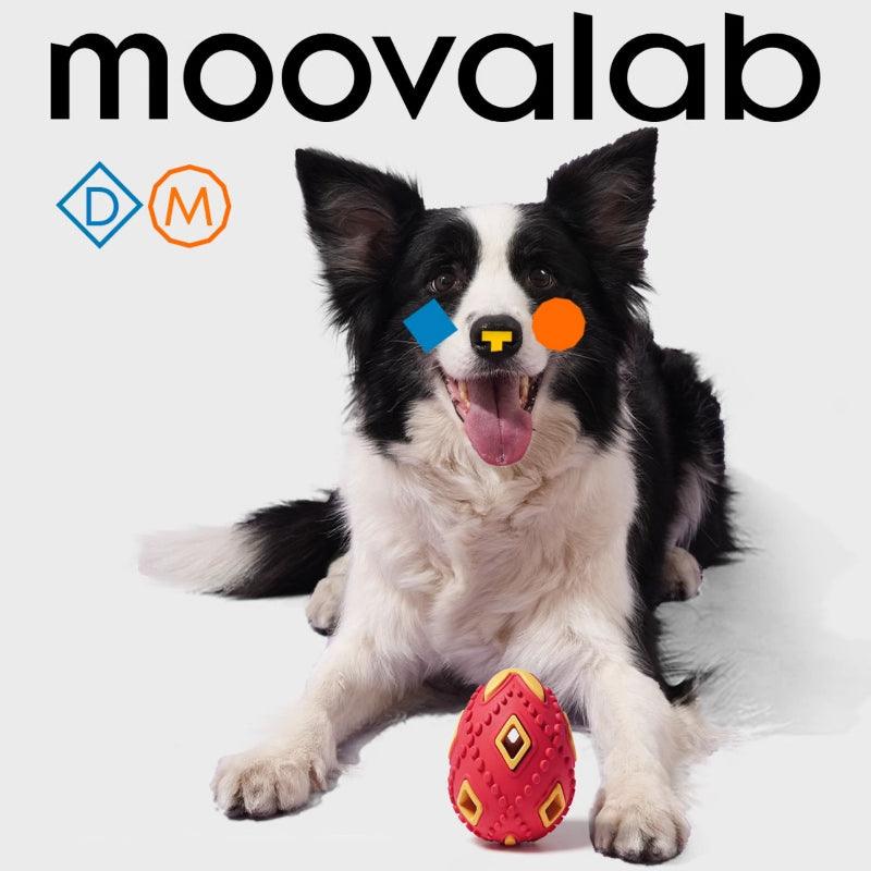 MoovaLab® Durable Light-Up Dog Toy Ball - KIKOPALS