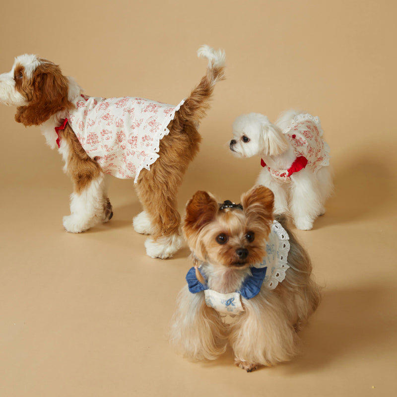 KIYOTT® Vintage Ruffled Sleeve Print Lace Dress for Dogs