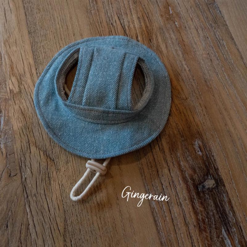 GINGERAIN® Red Bow Denim Dog Harness Leash & Hat Kit - KIKOPALS