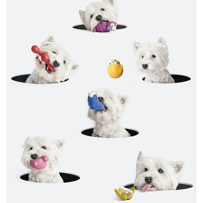 KITTY YOYO® Sea Series Dog Toy - KIKOPALS