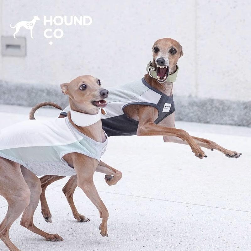 Hound Co.® Breathable Mesh Cooling Vest for Pets - KIKOPALS