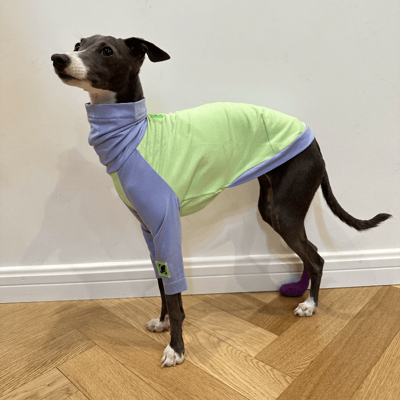 A HUNTING DOG® Dog High-neck Color-blocked T-shirt - KIKOPALS