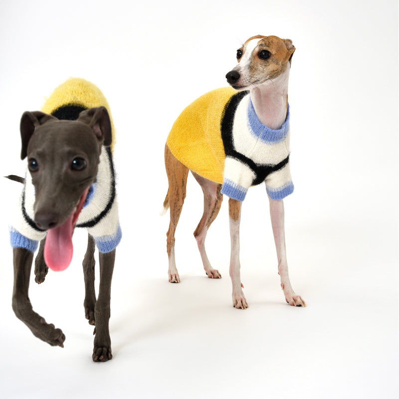 Nuoz® Gradient Color Block Sleeveless Knit Vest for Dogs