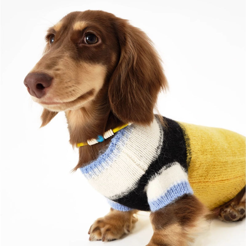 Nuoz® N Series Color-Block Beaded Pet Necklace