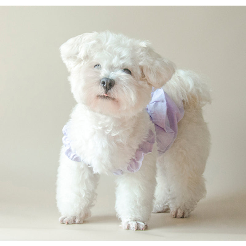 MARSHMALLOW® Floral Bubble Dress for Dogs