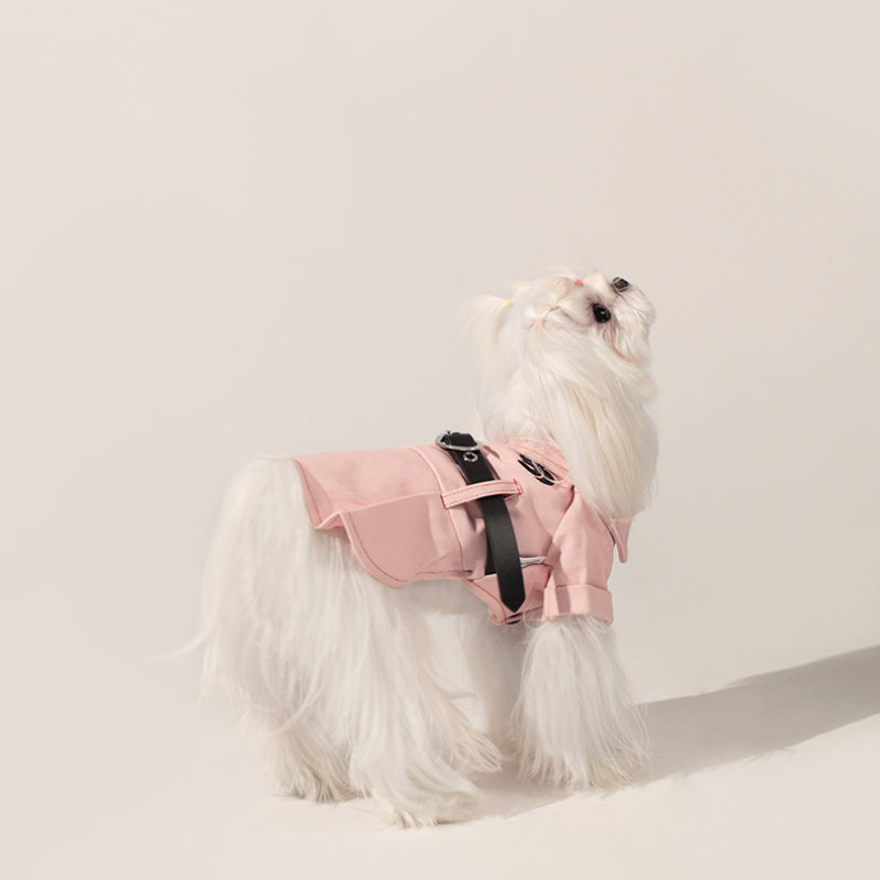 UNIPETISM® Pet Denim Belt Dress for Dogs & Cats