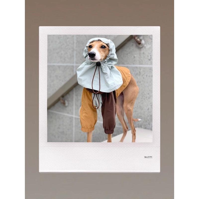 GASU® Waterproof Detachable Dog Rain Hat - KIKOPALS