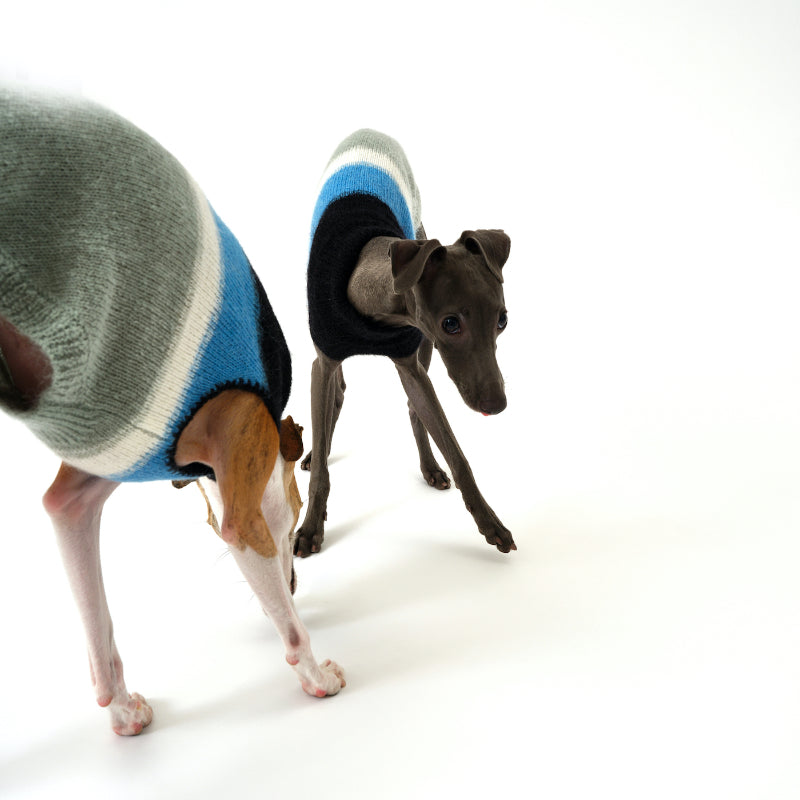 Nuoz® Gradient Color Sleeveless Knit Vest for Dogs – Mohair Wool Blend