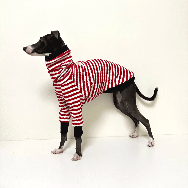 A HUNTING DOG® Dog Red&White Striped T-shirt - KIKOPALS